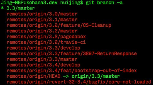 Git branch list