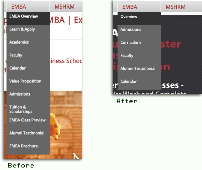 Information architecture