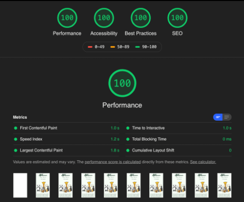 Lighthouse score of 100