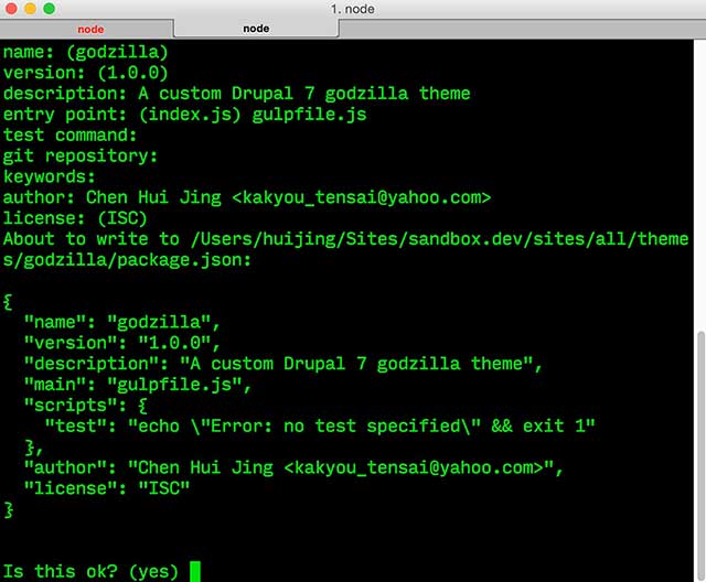 package.json file