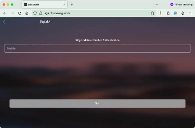 Screenshot of the landing page of the phishing site sgs.dbsnowsg.work
