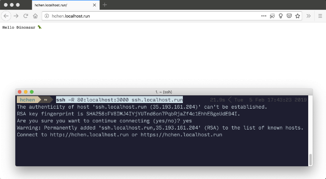 localhost.run HTTP tunnel