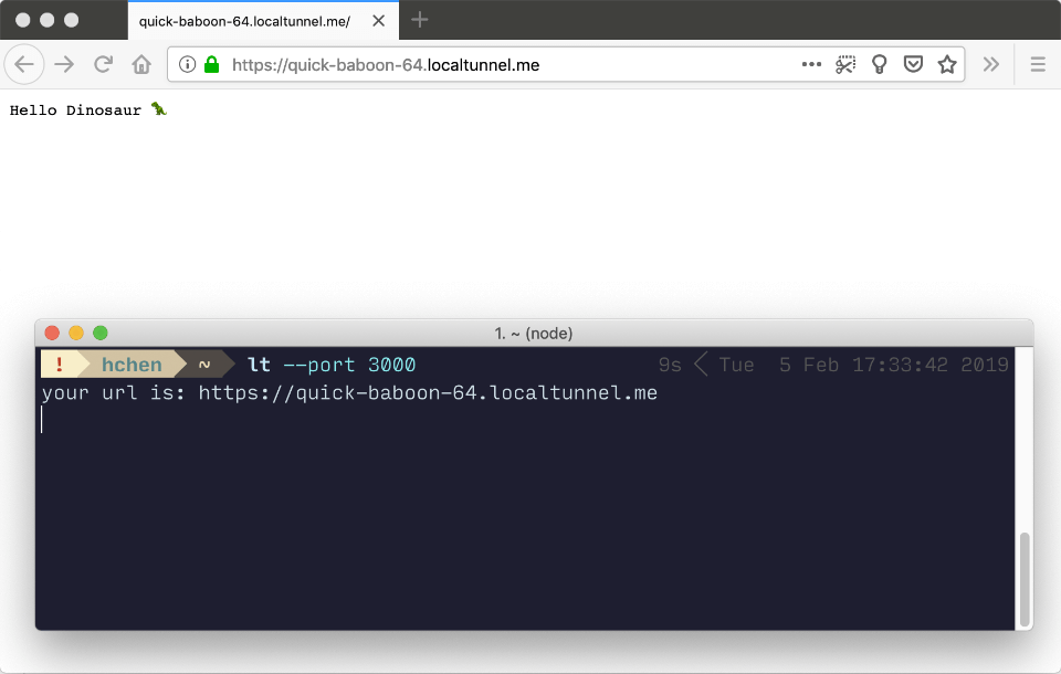 Tunnelling services for exposing localhost to the web | Chen Hui Jing