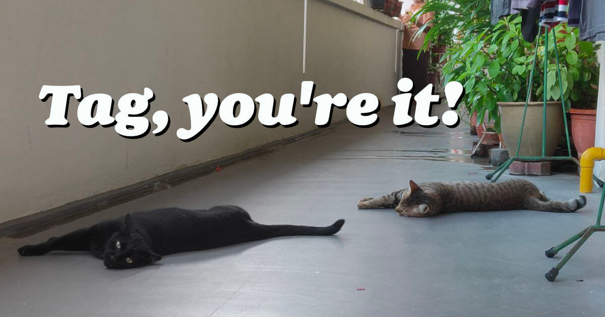 Tag, you're it! | Chen Hui Jing